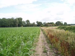 P20108050061	Fields on the way to Harbridge Green.