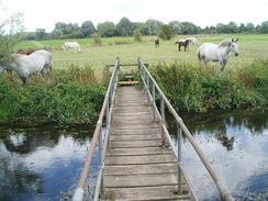 P20108050140	The bridge over a stream near Harbridge Lodge.