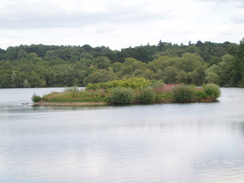 P20108050193	Blashford Lake.