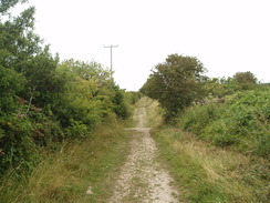 P20108080008	Heading north uphill from the car park in West Bexington.