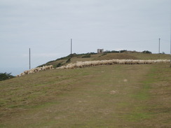 P20108080034	Heading east from Abbotsbury Castle.