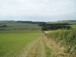 P20108080087	Heading west past Wyke Wood.