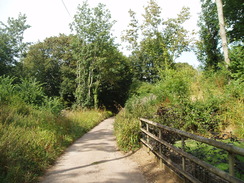 P20108080106	The path leading out of Abbotsbury.