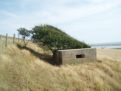 P20108080125	A pillbox on the flank of Chapel Hill.