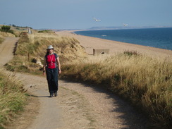 P20108080148	Sencan on the track behind Chesil Beach.