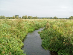P20109130045	A stream to the northeast of Burgate Manor Farm.