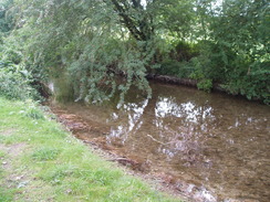 P20109130133	The River Ebble to the west of Odstock.