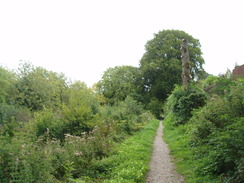 P20109130151	The path on Harnham Slope.
