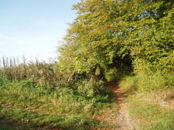 P2010A180090	The Clarendon Way at Teg Down.