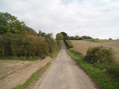 P2010A180158	The road leading westwards towards Middle Winterslow.