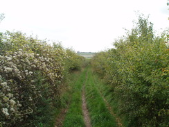 P2010A180171	The track leading towards Dunstable Corner.