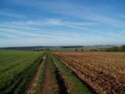 P2010A250065	The path between Pitton and Middle Winterslow.