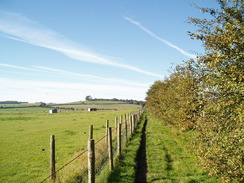 P2010A250089	Heading west along the Roman Road past Firsdown.