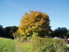 P2010A250095	Heading west along the Roman Road past Firsdown.