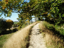 P2010A250132	The ramparts of Old Sarum.