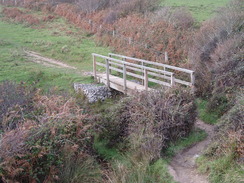 P2010A300322	A footbridge over a stream.