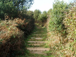 P2010A300329	The steps leading up onto Stonebarrow Hill.