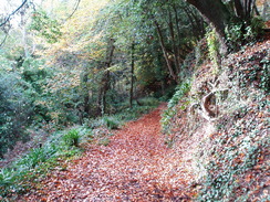 P2010B060114	The Undercliffs.