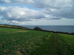 P2010B060164	The path leading towards Barn Close Lane.