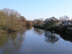 P2010B290903	The Stour at Iford Old Bridge.