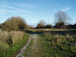 P2010C091053	The path through the Stour Valley Local Nature Reserve.