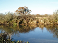 P2010C091055	The Stour in the Stour Valley Local Nature Reserve.