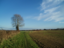 P2010C091085	Heading east towards Parley Green.