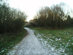 P2010C091163	An icy path.