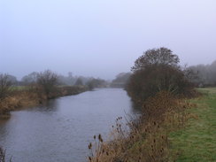 P2010C131106	The Stour to the west of Wimborne Minster.