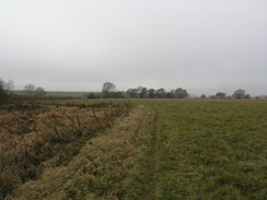 P2010C131148	Heading west towards Shapwick.