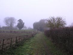 P2010C131203	The path leading towards Blandford St Mary.