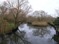 P20111021332	The River Avon in Christchurch.