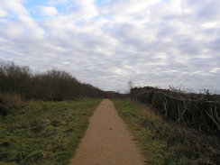 P20111021361	The path leading back to Hengistbury Head car park.