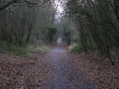 P20111041380	The old railway line between Cowes and Newport.