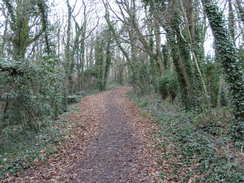 P20111041473	The path leading to Fishbourne.