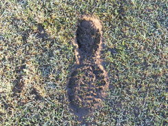 P20111191580	A muddy footprint.