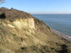 P20111191635	Following the cliffs southwestwards from Bembridge.