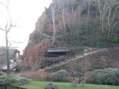 P20111191703	Shanklin Chine.