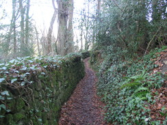 P20111191712	Following the path south from Luccombe Village.