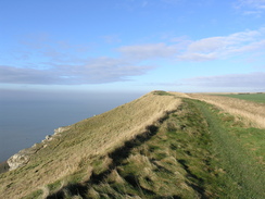 P20111201819	The path between Niton and Blackgang.