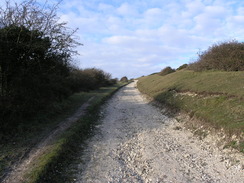 P20111242025	The track leading up onto Brook Down.