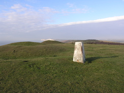 P20111242039	The trig pillar on Brook Down.