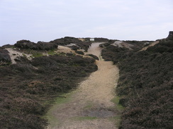 P20111242183	The path across Headon Warren.