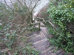 P20111242190	The long flight of steps leading down Widdick Chine.