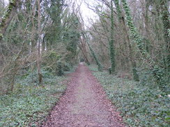 P20111242223	The path through Fort Victoria Country Park.