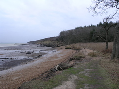 P20111272290	Looking east towards Bouldnor Cliff.