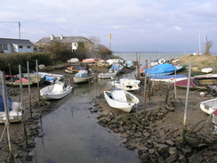 P20111272400	Gurnard Luck.