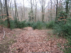 P20112012466	The path descending down from Byrnaston School.