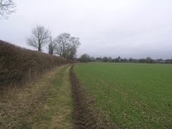 P20112012577	The footpath leading to Hammoon.