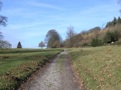 P20112032731	The track leading past Beech Cottage.